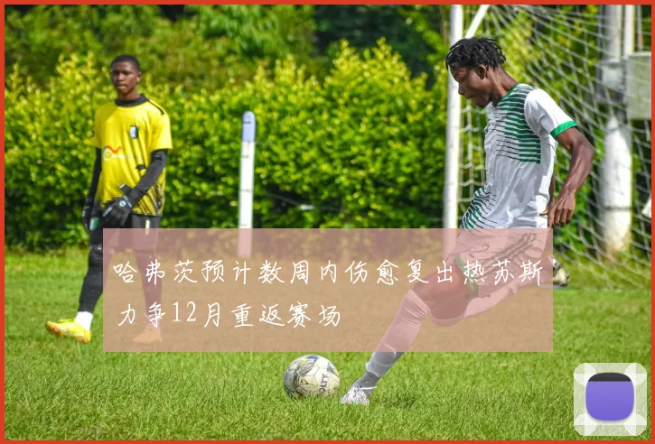哈弗茨预计数周内伤愈复出热苏斯力争12月重返赛场
