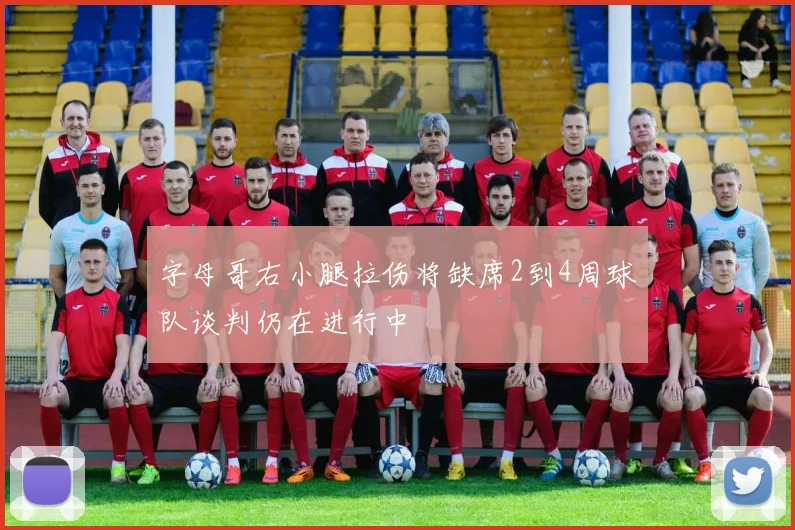 字母哥右小腿拉伤将缺席2到4周球队谈判仍在进行中